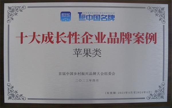 十大成長(zhǎng)性企業(yè)品牌案例（蘋果類）