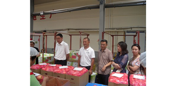 《綠色食品品質(zhì)、營業(yè)功能評價(jià)標(biāo)準(zhǔn)課題》調(diào)研在棲霞德豐開展