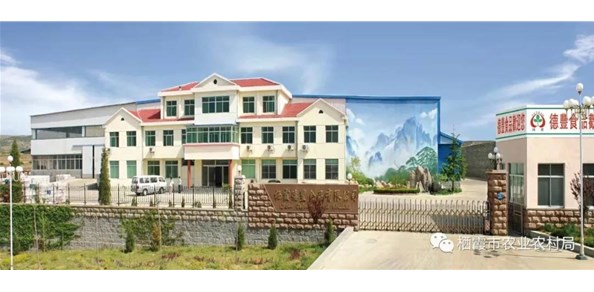 棲霞德豐食品有限公司入選第七批農(nóng)業(yè)產(chǎn)業(yè)化國家重點(diǎn)龍頭企業(yè)！